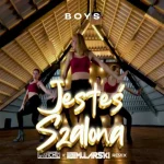 BOYS - Szalona (WANCHIZ x DJ Mularski Remix) disco polo 2026 teledysk official video