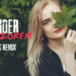RAIDER - A WIECZOREM (SMYK REMIX)