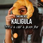 Tarzan Boy - Kaligula (Tr!Fle & LOOP & Black Due REMIX)