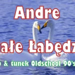 Andre - Białe Łabędzie (lukashb & tunek Oldschool 90's Remix)