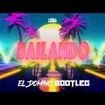 Loona - Bailando (El Domino bootleg)