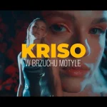KRISO - W BRZUCHU MOTYLE