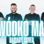 DEMETERS - Wódko ma (BACIARY cover)