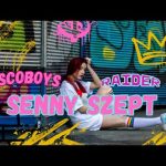 SENNY SZEPT - DISCOBOYS & RAIDER (Cover)