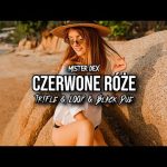 MISTER DEX - Czerwone Róże (Tr!Fle & LOOP & Black Due REMIX)