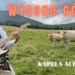 Kapela AleGroo - Wysoko Górka