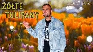 BLUE BOX - Żółte tulipany (z rep. IMPERIUM)