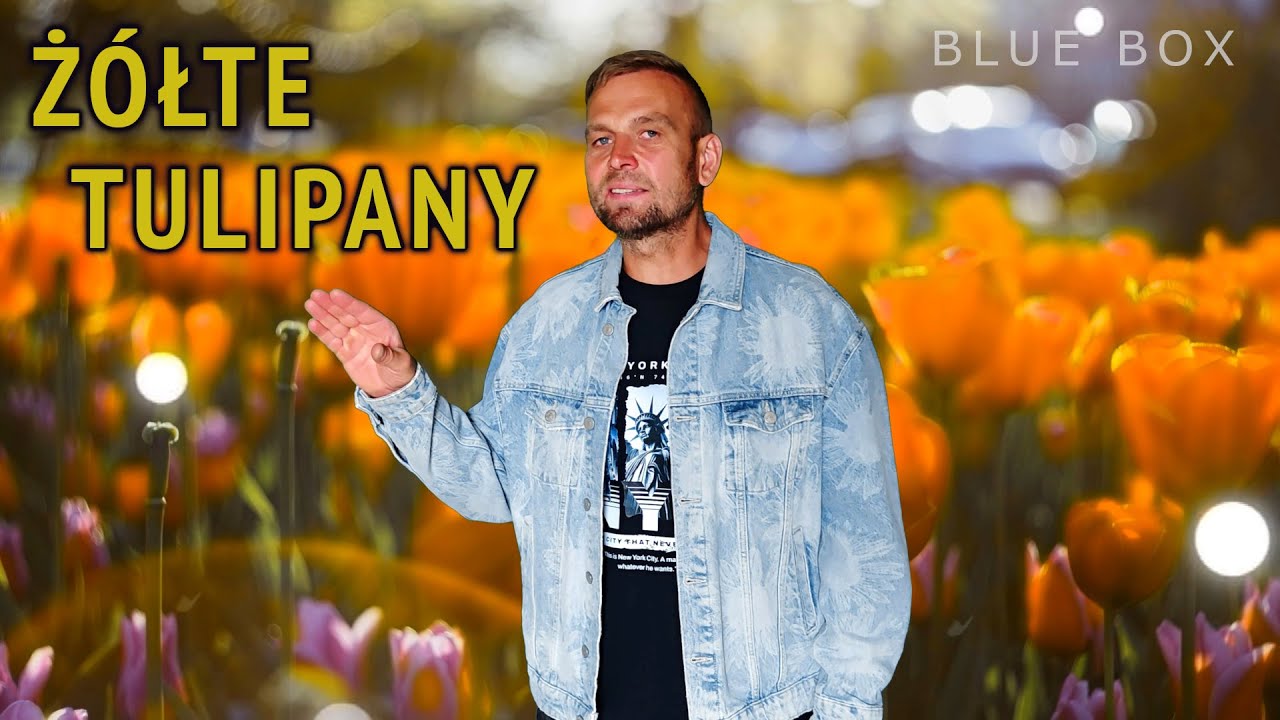 BLUE BOX - Żółte tulipany (z rep. IMPERIUM)