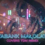 Vabank - Małolata ( CoversTDM Remix )