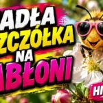 SIADŁA PSZCZÓŁKA NA JABŁONI 2026 🦅 NAJLEPSZA BIESIADNA disco polo 2026 teledysk official video