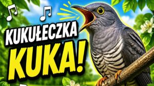 KUKUŁECZKA KUKA disco polo 2026 teledysk official video