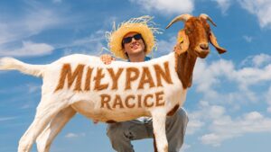 MiłyPan - Racice disco polo 2026 teledysk official video